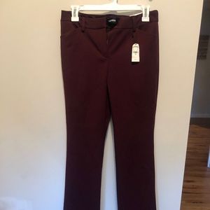 Express Maroon Dress Pants
